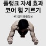 플랭크자세 플랭크운동효과 코어 근력운동 甲 알아보자