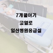 7개월 아기 고열로 국민 건강보험 일산병원 응급실 (요로감염)