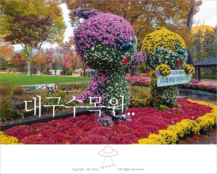 [대구국화] 국화꽃 향기???.. 대구 수목원 국화축제.. : 네이버 블로그