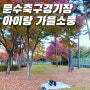 [울산 문수축구경기장] 아이랑 가을 소풍, 단풍구경, 산책하기