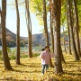 경주 도리마을 은행나무숲 아이와 가볼만한곳 추천