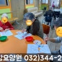 ♥부드럽게 색칠하는 물감놀이 시간♥ (인천요양원, 인천사랑요양원, 주안사랑요양원)