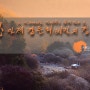 강원/인제/가볼만한곳/갑둔리/비밀의정원