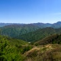 지리산 바래봉 등산 _ 철쭉만개