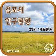 김포시 인구현황 [21년 10월]