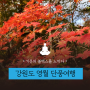 [일상] 강원도 영월 볼텍스로 떠나는 단풍 명상 여행🍁 | 서울글로벌명상센터, 서울 명상, 영등포 명상, 나들이