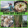내일로 국내 기차여행) 대전 뚜벅이 여행코스~