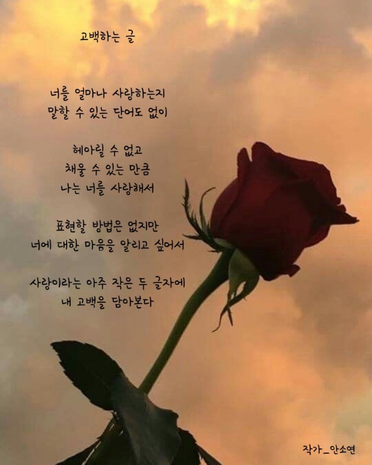 [시] 고백하는 글_안소연/사랑글귀모음/연인글귀/고백글귀/행복글귀/사랑시/감성글귀/따뜻한글귀/빼빼로데이/짧은글 : 네이버 블로그
