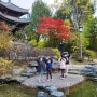 수원 인계동 월화원 효원공원 아이들과 가볼만한 곳, 사진 잘 나오는 사진명소 데이트 코스
