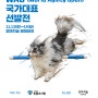 11월 13일, 춘천 강아지숲에서 WAO 국가대표 선발