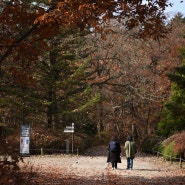 가을 국립수목원