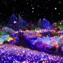 [경기 가평]2021~2022오색별빛정원전[2021.12.03 ~ 2022.03.14] 다양한 테마를 표현한 겨울 밤 빛의 정원