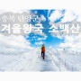 소백산 눈꽃산행에서 만난 겨울왕국('21.11.12)