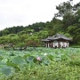 활래정(活來亭) - 사랑채, 정자가 되다