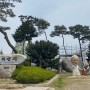 충남 당진 가 볼 만한 곳, 한국의 베들레햄 '솔뫼성지'를 가다(국내 당일치기 여행 삽교호 횟집 거리)