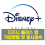 디즈니 플러스 앱 가입 및 동시접속 정보