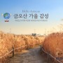 구미 금오산 경상북도 환경연수원의 2021 마지막 가을 단풍