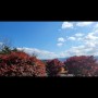 붉은단풍을 보며 가을을 만끽하는 힐링팜스테이