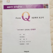 MBTI Q형 정식검사 후기