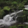 66.여름날의 영월상동 이끼계곡 자연물소리 Nature Sound ASMR (8k 영상)
