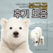 겨울 소품으로 추천하는 북극곰 후기 모음