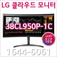 LG 클라우드 모니터 38CL950P-1C