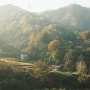 가을산에 햇살 뿌리기┃필름카메라/필름사진_니콘 FM2