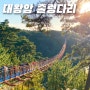 울산 아이랑 가볼만한 곳 - 대왕암 출렁다리 입장료, 주차장, 주차비