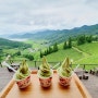 보성 카페 초록잎이펼치는세상 녹차아이스크림 보성 녹차밭전망대