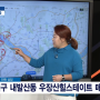 부동산전문가 신화선 SBS Biz TV [부동산 해결사들] 방송 다시보기(21.11.18)