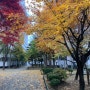 가을 낙엽