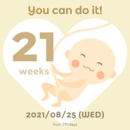임신 중기 21주 증상 공유(다리 쥐, 변비)