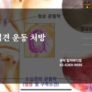 마포헬스PT 오십견 운동 처방 1 (관절 가동범위 늘리는 스트레칭)