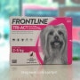 프론트라인 트리액트 FRONTLINE TRI-ACT 강아지용 진드기 예방, 치료 동물약국 청주동물약국 늘봄동물약국