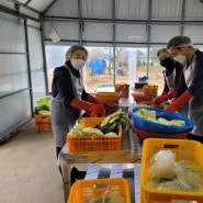 2021년 괴산김장축제 고은정농원에서 맛있는 김장김치 담아가세요.