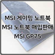 MSI 게이밍 노트북 GP75 판매후기, MSI 노트북 매입 및 판매