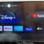 BTV 디즈니 플러스 유튜브 넷플릭스 TV 연결, 구글 크롬캐스트 하나로 해결