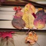낙엽으로 왕관만들기,헤어악세사리 만들기