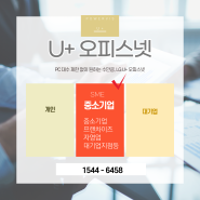 유플러스 오피스넷 PC 대수 제한 없이 원하는 수만큼, 여러 대 사용해도 안정적인 고품질 인터넷 서비스