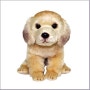 위더펫 골든리트리버 시팅 강아지 인형, 25cm, 혼합 색상 (꿀템) 어떤가요?