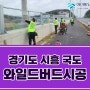 새충돌방지필름 와일드버드 - 경기도 시흥 국도 방음벽 시공
