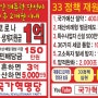 국가혁명당 33정책 재원 마련