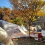 사이트 넓은 용인숲속캠핑장 11월 낙엽엔딩 캠핑