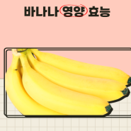 바나나 영양 알고 먹자!