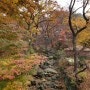 서울하루여행 진관사 가을이 물들어 있는곳