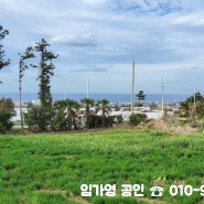 〔토지 매매〕 매물명:G193_광령초 인근 가족,친구들끼리 집지어 살기 좋은 230평 주택부지