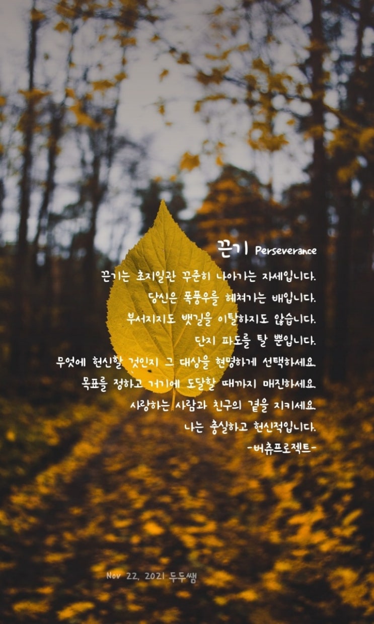[끈기] 를 빛낼 수 있는 특별한 비밀! : 네이버 블로그