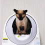 집사의 로망. 고양이 자동 화장실 설치 후기
