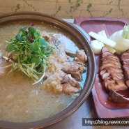 수원 장안구맛집 이영철생오리