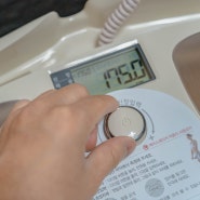 인바디 체중계 가정용 스마트 체지방 측정기 H20N
